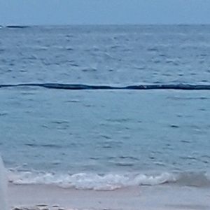 Meet your Posher, Yasirys